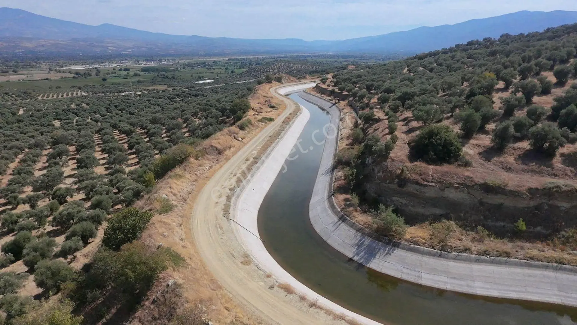 Aydın Bozdoğan Yeni Mahallesi’nde Satılık Zeytinlik 17.472,75 M² – 600 Adet Yetişkin Zeytin Ağacı — fotoğraf 14