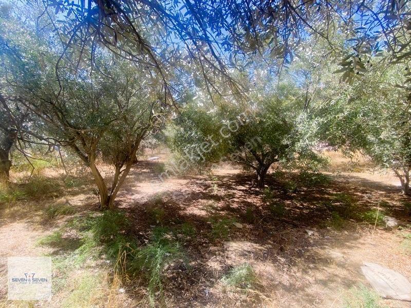 Kadınlar Denizinde 11 Dairelik Proje | 730 M² İmarlı Arsa — fotoğraf 2