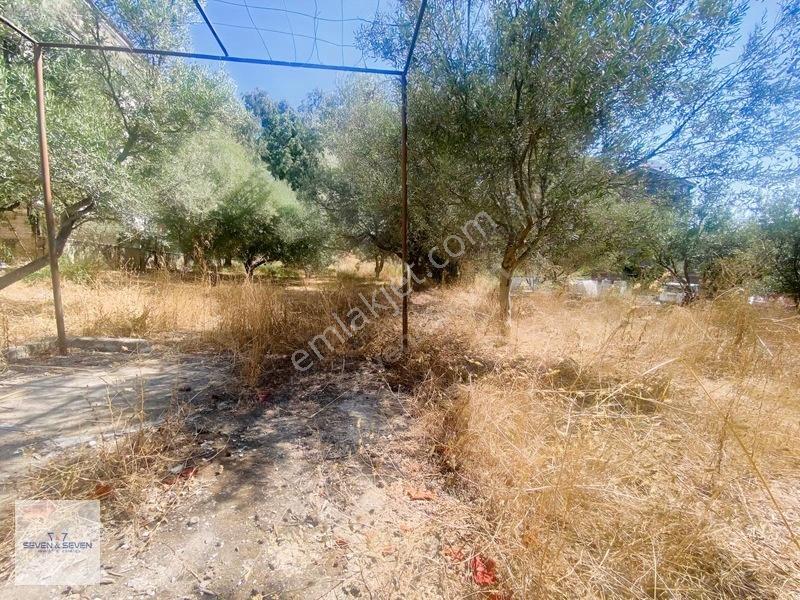 Kadınlar Denizinde 11 Dairelik Proje | 730 M² İmarlı Arsa — fotoğraf 3