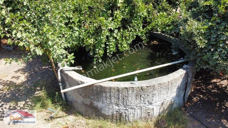 Bodrum Gökçebel Mah. 2,760m2 Narenciye Bahçesi Satılık — fotoğraf 5
