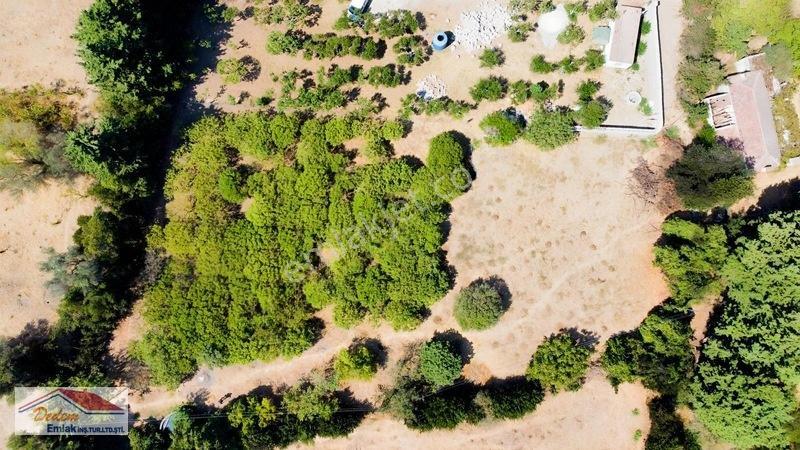 Bodrum Gökçebel Mah. 2,760m2 Narenciye Bahçesi Satılık — fotoğraf 7