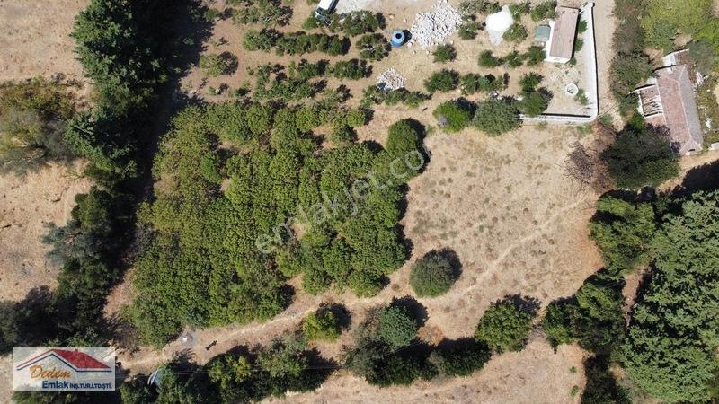 Bodrum Gökçebel Mah. 2,760m2 Narenciye Bahçesi Satılık — fotoğraf 8
