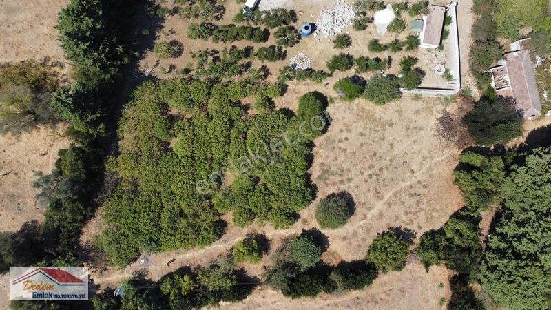 Bodrum Gökçebel Mah. 2,760m2 Narenciye Bahçesi Satılık — fotoğraf 9