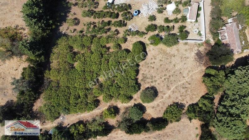Bodrum Gökçebel Mah. 2,760m2 Narenciye Bahçesi Satılık — fotoğraf 10
