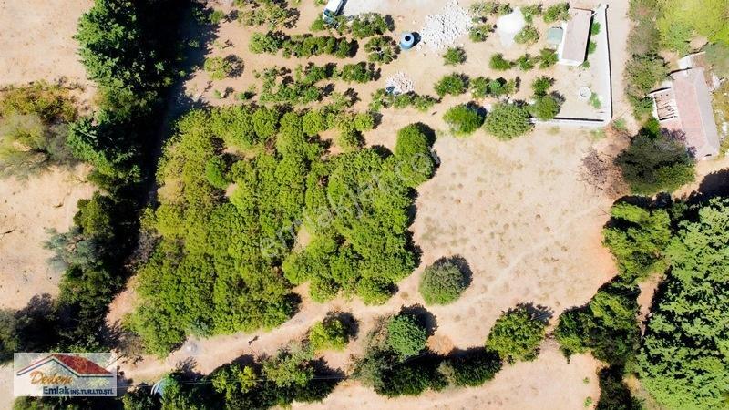 Bodrum Gökçebel Mah. 2,760m2 Narenciye Bahçesi Satılık — fotoğraf 12