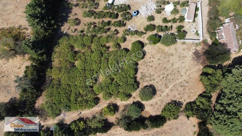 Bodrum Gökçebel Mah. 2,760m2 Narenciye Bahçesi Satılık — fotoğraf 13