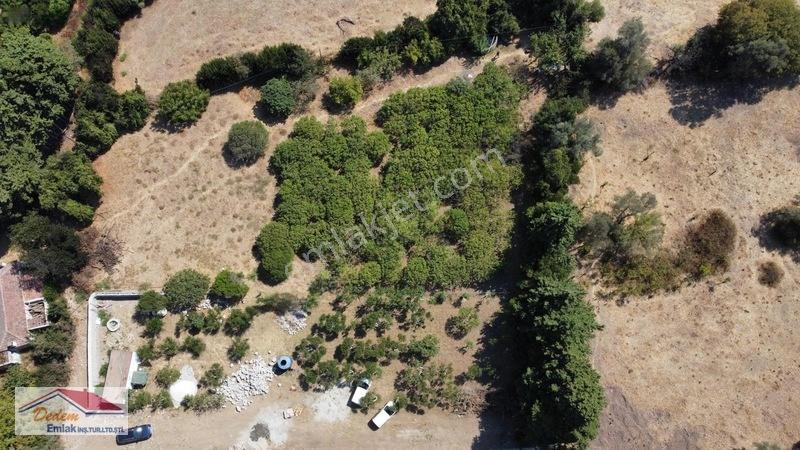 Bodrum Gökçebel Mah. 2,760m2 Narenciye Bahçesi Satılık — fotoğraf 14