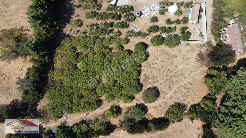 Bodrum Gökçebel Mah. 2,760m2 Narenciye Bahçesi Satılık — fotoğraf 17