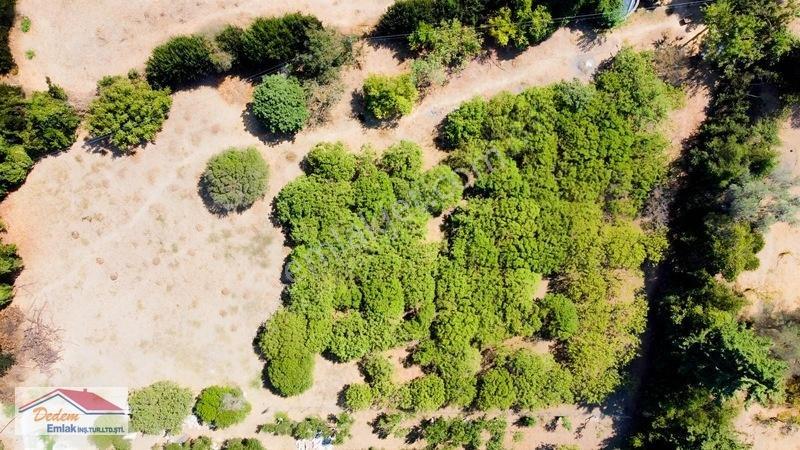 Bodrum Gökçebel Mah. 2,760m2 Narenciye Bahçesi Satılık — fotoğraf 18