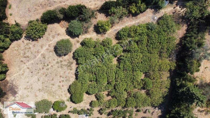 Bodrum Gökçebel Mah. 2,760m2 Narenciye Bahçesi Satılık — fotoğraf 19