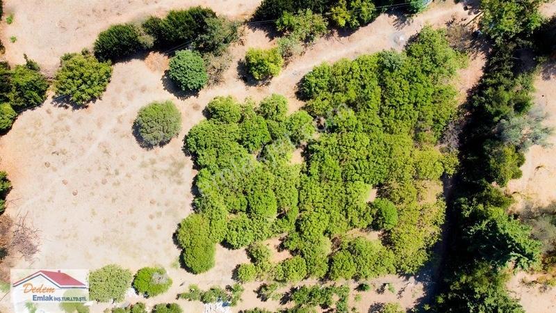 Bodrum Gökçebel Mah. 2,760m2 Narenciye Bahçesi Satılık — fotoğraf 20
