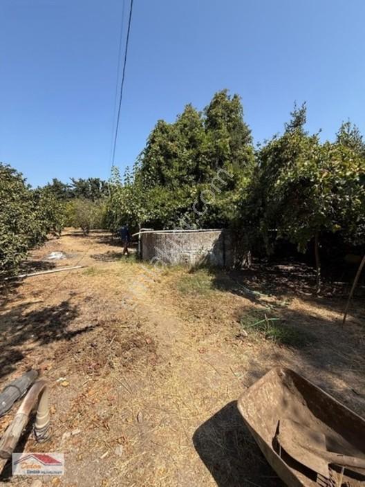 Bodrum Gökçebel Mah. 2,760m2 Narenciye Bahçesi Satılık — fotoğraf 23