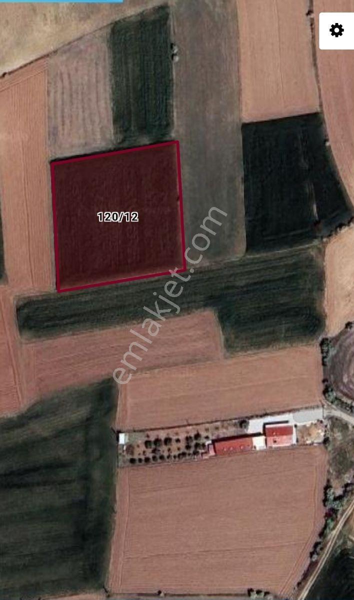 Doğukan Real Estate | Elazığ Pelte Köyü 4121 M² Sulu Tarla