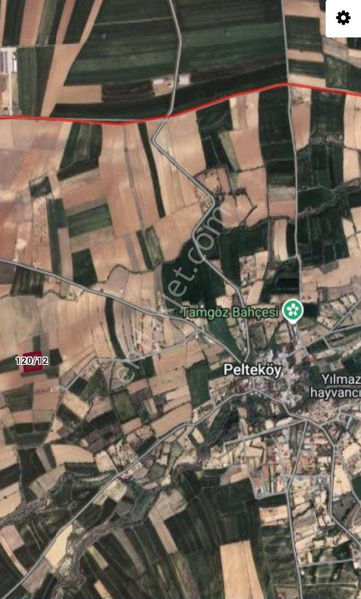 Doğukan Real Estate | Elazığ Pelte Köyü 4121 M² Sulu Tarla — fotoğraf 5