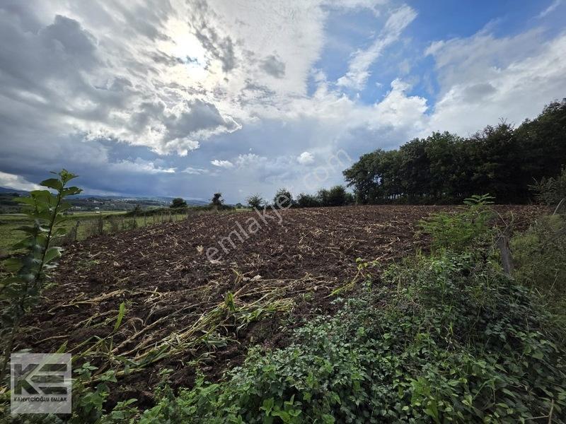 Kahvecioğlu'Ndan Elifli Köyü Satılk 2.500 M2 Yerleşik Alan Tarla