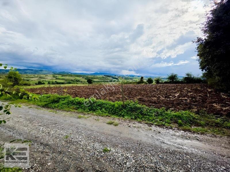 Kahvecioğlu'ndan Elifli Köyü Satılk 2.500 M2 Yerleşik Alan Tarla — fotoğraf 3