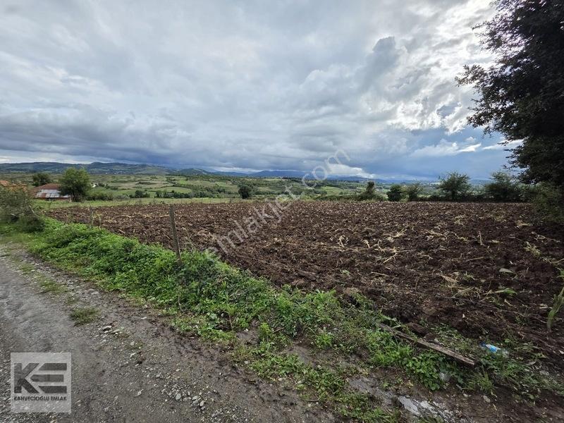 Kahvecioğlu'ndan Elifli Köyü Satılk 2.500 M2 Yerleşik Alan Tarla — fotoğraf 8