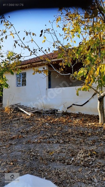 Ev Tarla Zeytinlik Cevizlik Bahçe Asfalt Yol İki Yanı