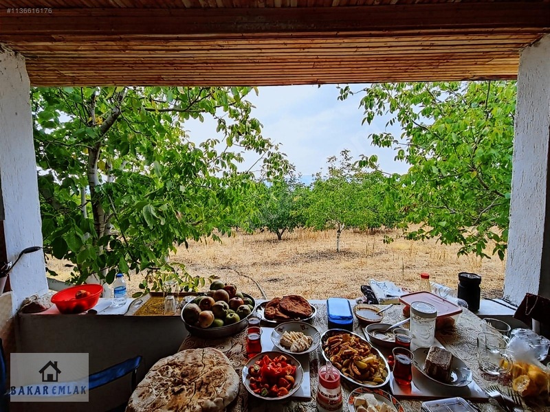 Ev Tarla Zeytinlik Cevizlik Bahçe Asfalt Yol İki Yanı — fotoğraf 9