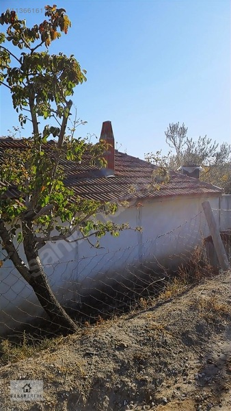 Ev Tarla Zeytinlik Cevizlik Bahçe Asfalt Yol İki Yanı — fotoğraf 11