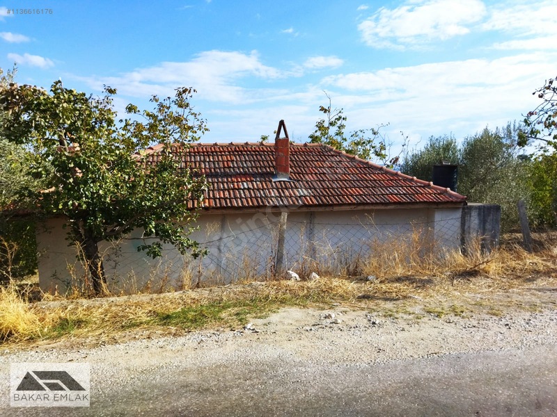 Ev Tarla Zeytinlik Cevizlik Bahçe Asfalt Yol İki Yanı — fotoğraf 22