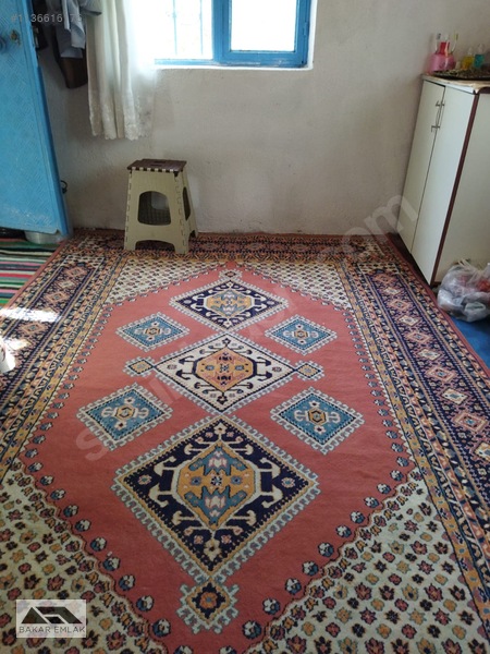 Ev Tarla Zeytinlik Cevizlik Bahçe Asfalt Yol İki Yanı — fotoğraf 24