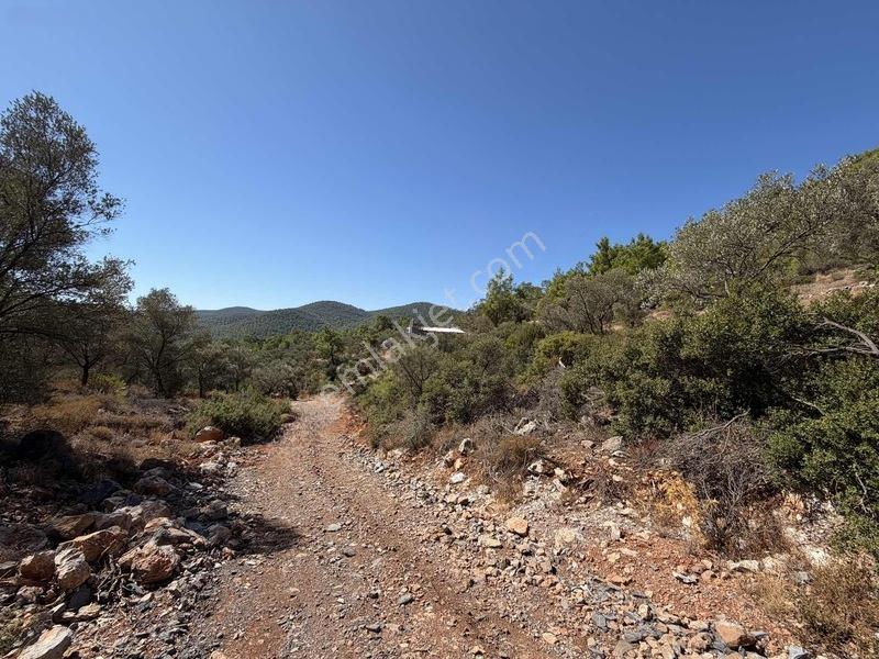Bodrum Kızılağaç'ta Satılık Deniz Manzaralı Tarla — fotoğraf 3