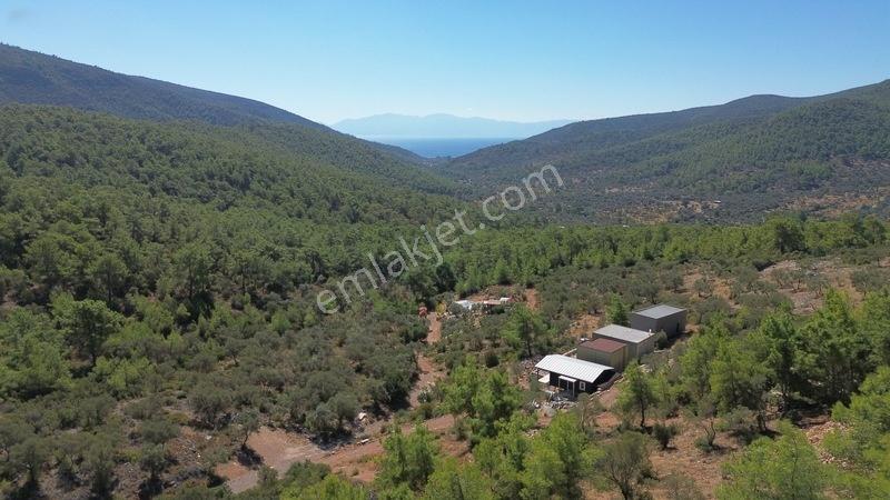 Bodrum Kızılağaç'ta Satılık Deniz Manzaralı Tarla — fotoğraf 4