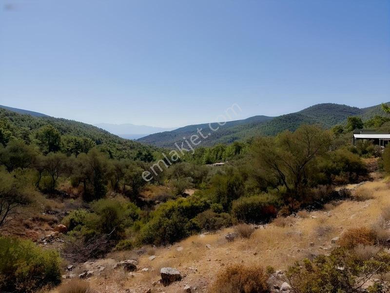 Bodrum Kızılağaç'ta Satılık Deniz Manzaralı Tarla — fotoğraf 5