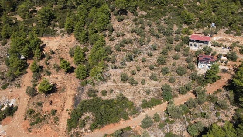 Bodrum Kızılağaç'ta Satılık Deniz Manzaralı Tarla — fotoğraf 6
