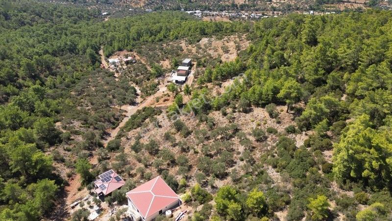 Bodrum Kızılağaç'ta Satılık Deniz Manzaralı Tarla — fotoğraf 8