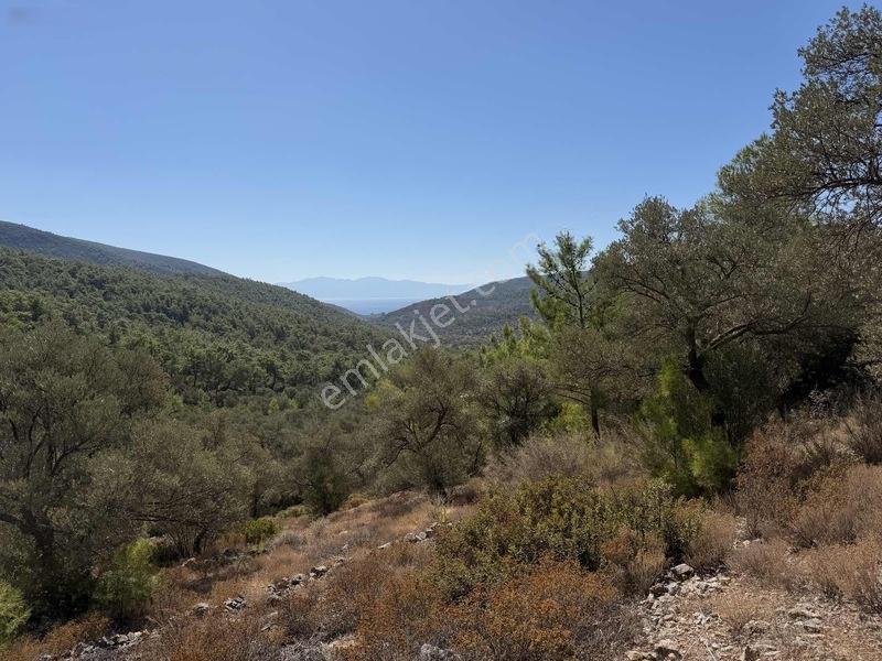 Bodrum Kızılağaç'ta Satılık Deniz Manzaralı Tarla — fotoğraf 9