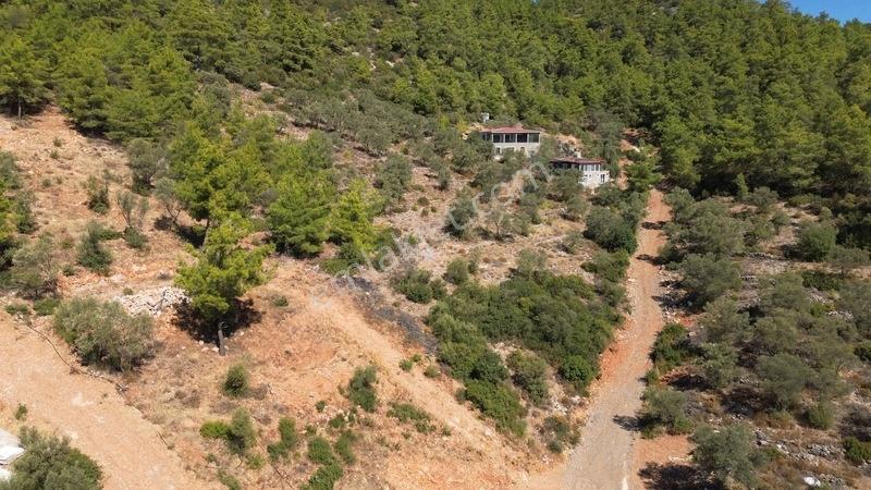 Bodrum Kızılağaç'ta Satılık Deniz Manzaralı Tarla — fotoğraf 10