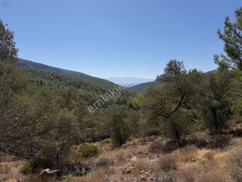 Bodrum Kızılağaç'ta Satılık Deniz Manzaralı Tarla — fotoğraf 11
