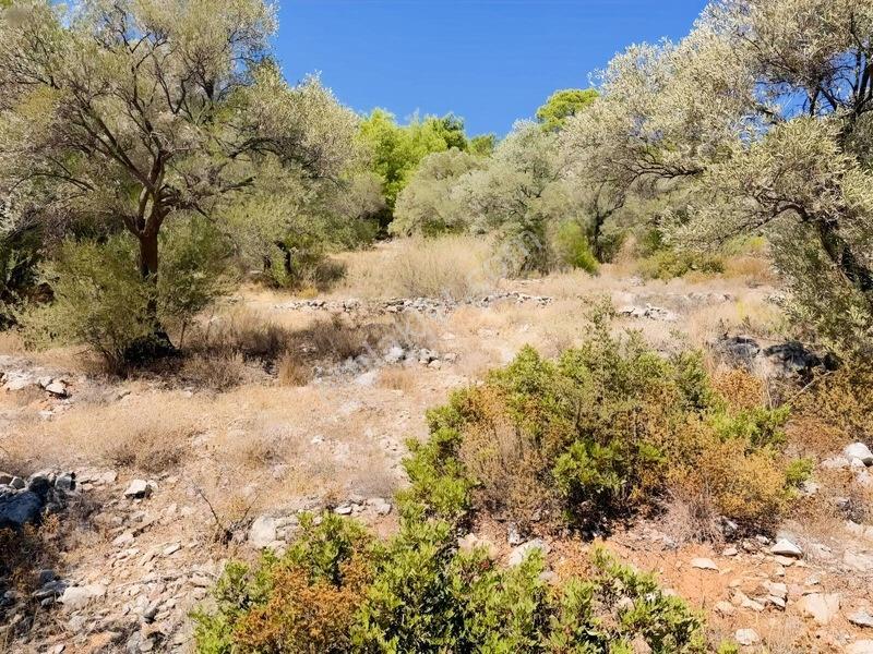 Bodrum Kızılağaç'ta Satılık Deniz Manzaralı Tarla — fotoğraf 13