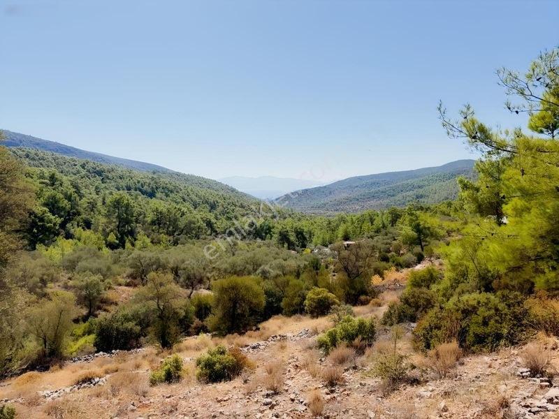 Bodrum Kızılağaç'ta Satılık Deniz Manzaralı Tarla — fotoğraf 14