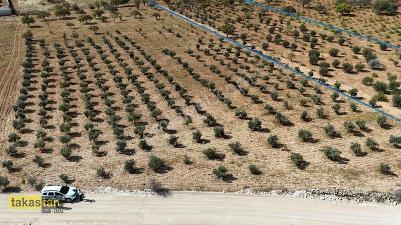 Suboğazı Sınırı Tek Tapu Resmi Yol İmara Yakın Ful Zeytin Fırsat — fotoğraf 2