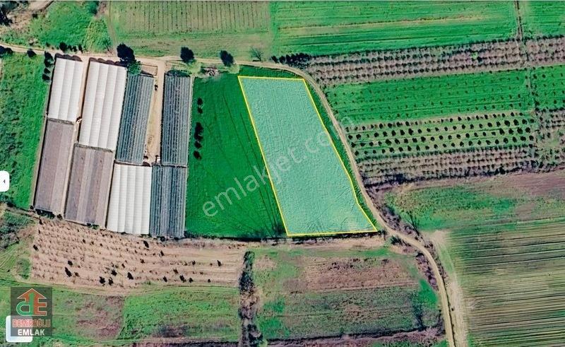 Serikte İmara Yakın - 5.515 M² Müstakil Tapulu Satılık Tarla — fotoğraf 5