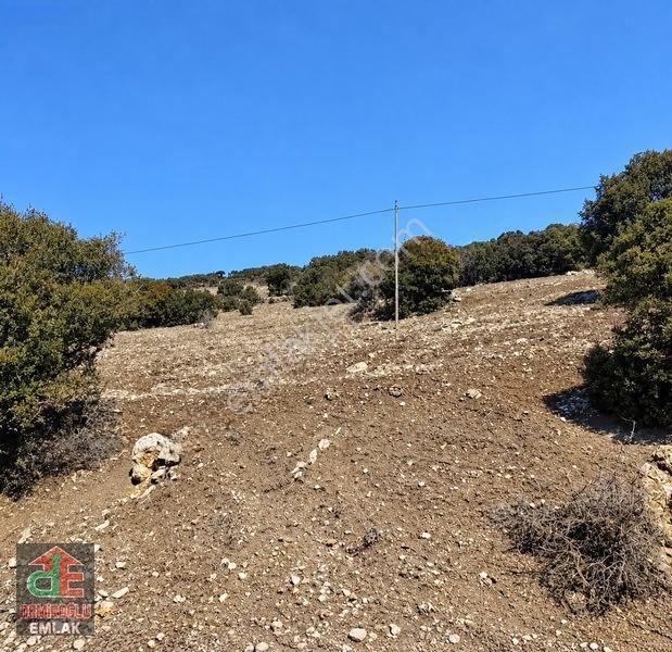 Ispartada Göl Manzaralı Satılık 11.580 M2 Arazi Bungalov Projeli — fotoğraf 3