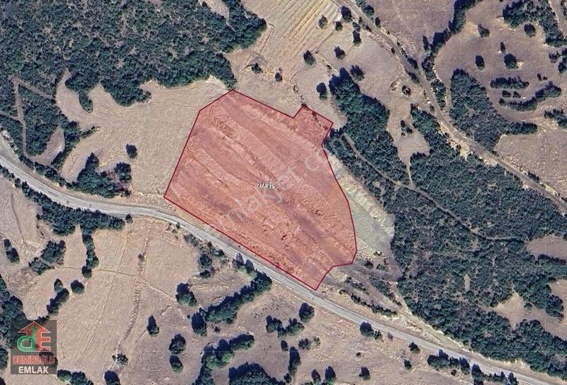 Ispartada Göl Manzaralı Satılık 11.580 M2 Arazi Bungalov Projeli — fotoğraf 5