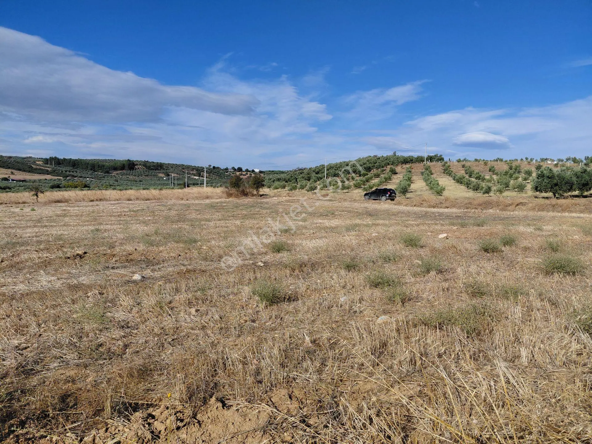 Akisar 5.km Mesafede Tarım Ve Hayvancılığa Uygun 27.500 M2 Boş Tarla 8.500.000 Tl — fotoğraf 2