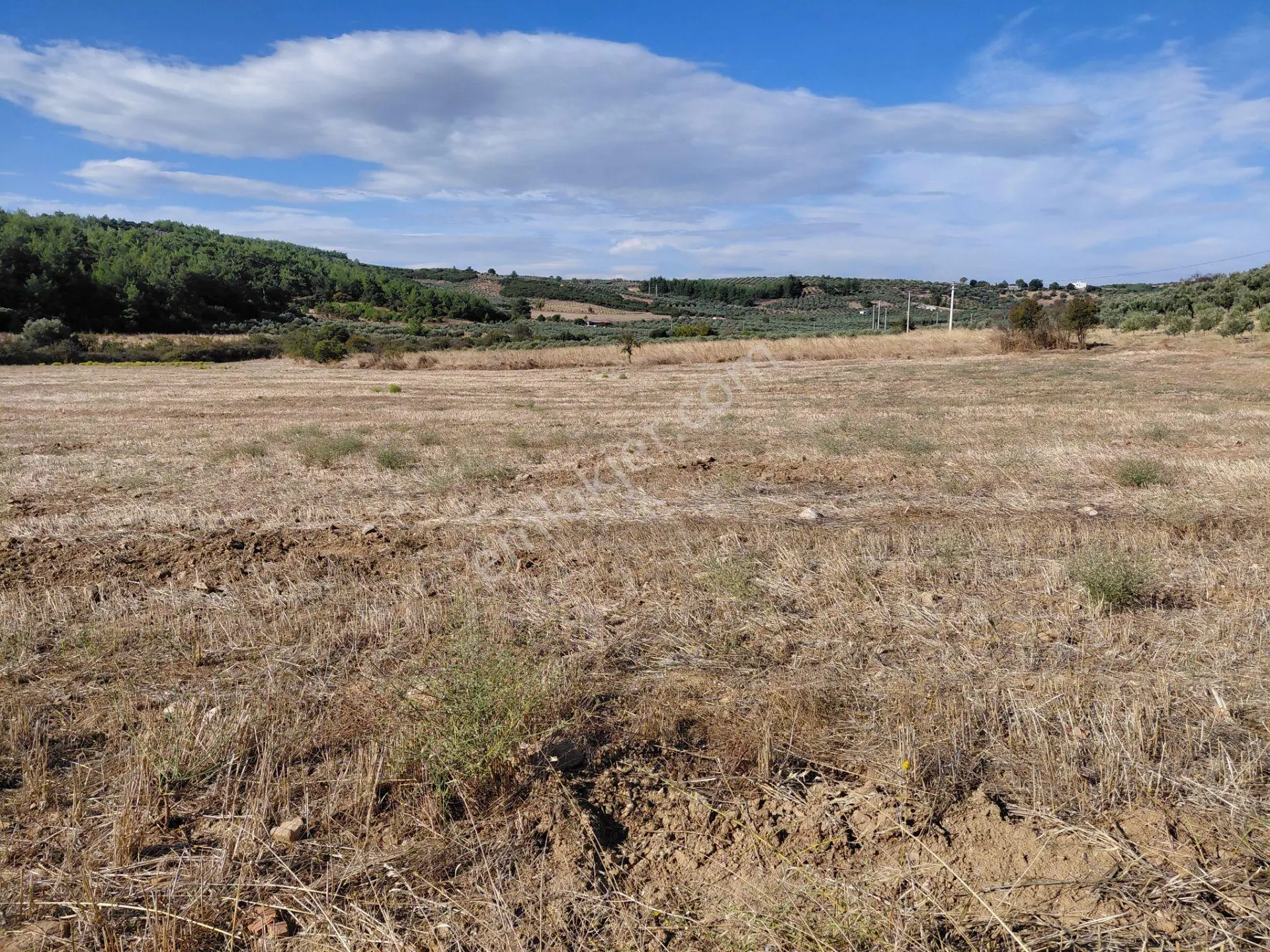 Akisar 5.km Mesafede Tarım Ve Hayvancılığa Uygun 27.500 M2 Boş Tarla 8.500.000 Tl — fotoğraf 3
