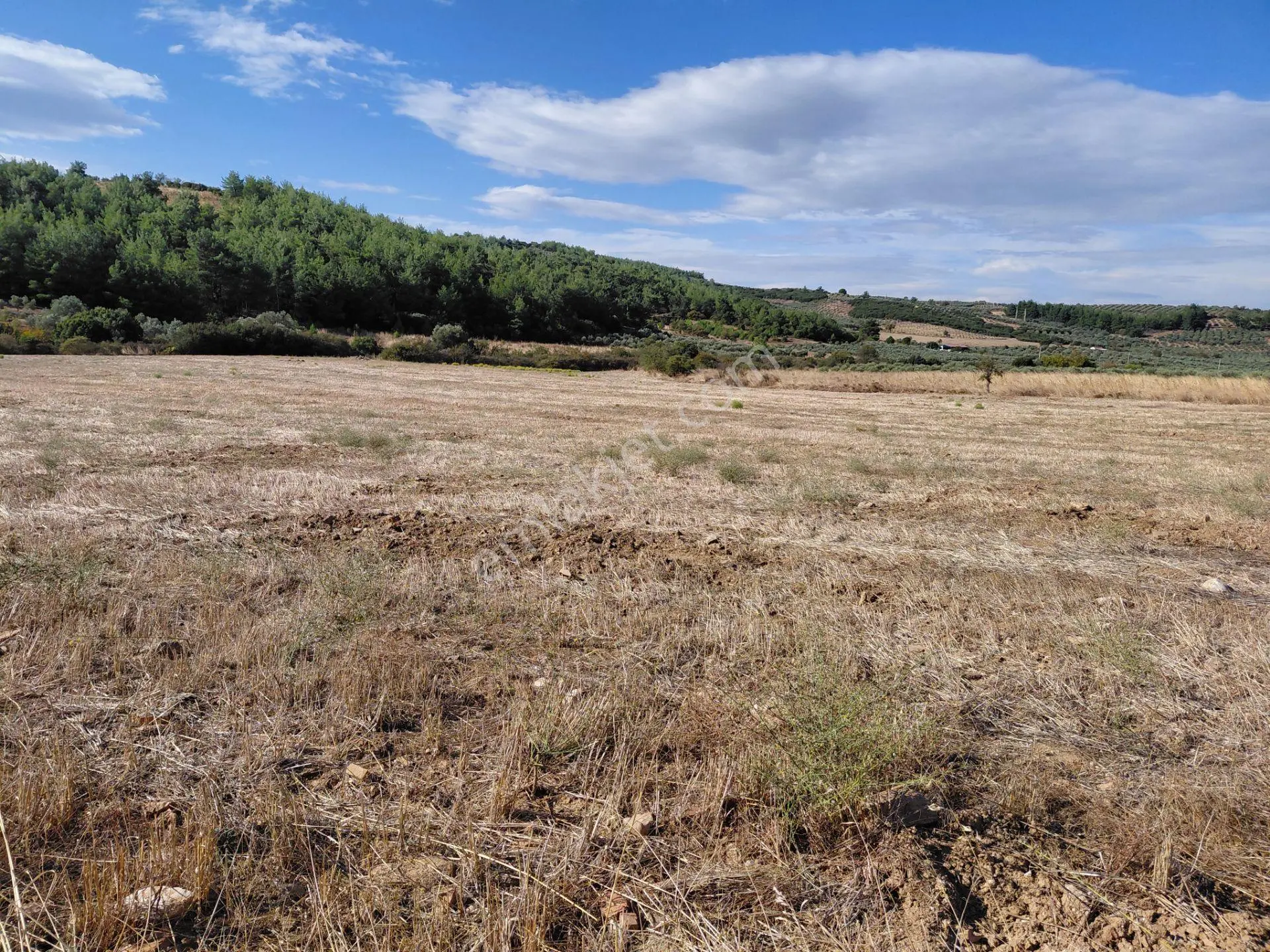 Akisar 5.km Mesafede Tarım Ve Hayvancılığa Uygun 27.500 M2 Boş Tarla 8.500.000 Tl — fotoğraf 4