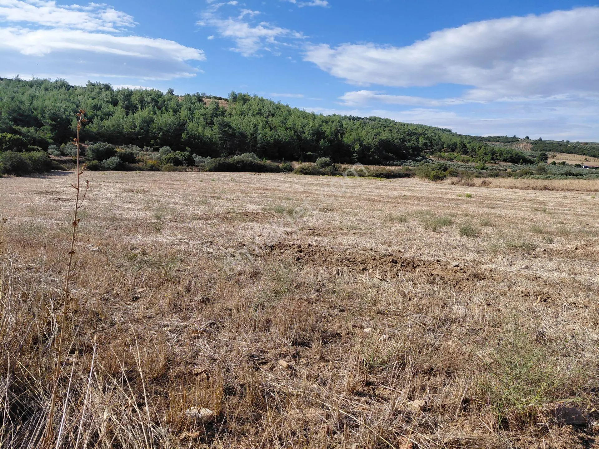 Akisar 5.km Mesafede Tarım Ve Hayvancılığa Uygun 27.500 M2 Boş Tarla 8.500.000 Tl — fotoğraf 5