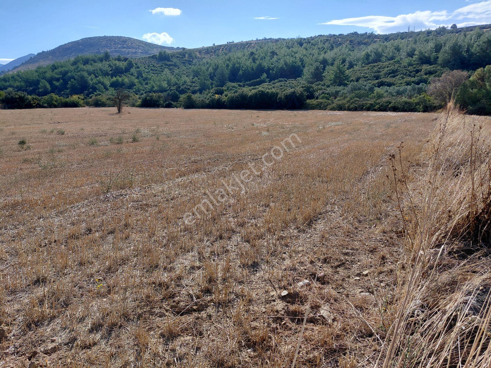 Akisar 5.km Mesafede Tarım Ve Hayvancılığa Uygun 27.500 M2 Boş Tarla 8.500.000 Tl — fotoğraf 6