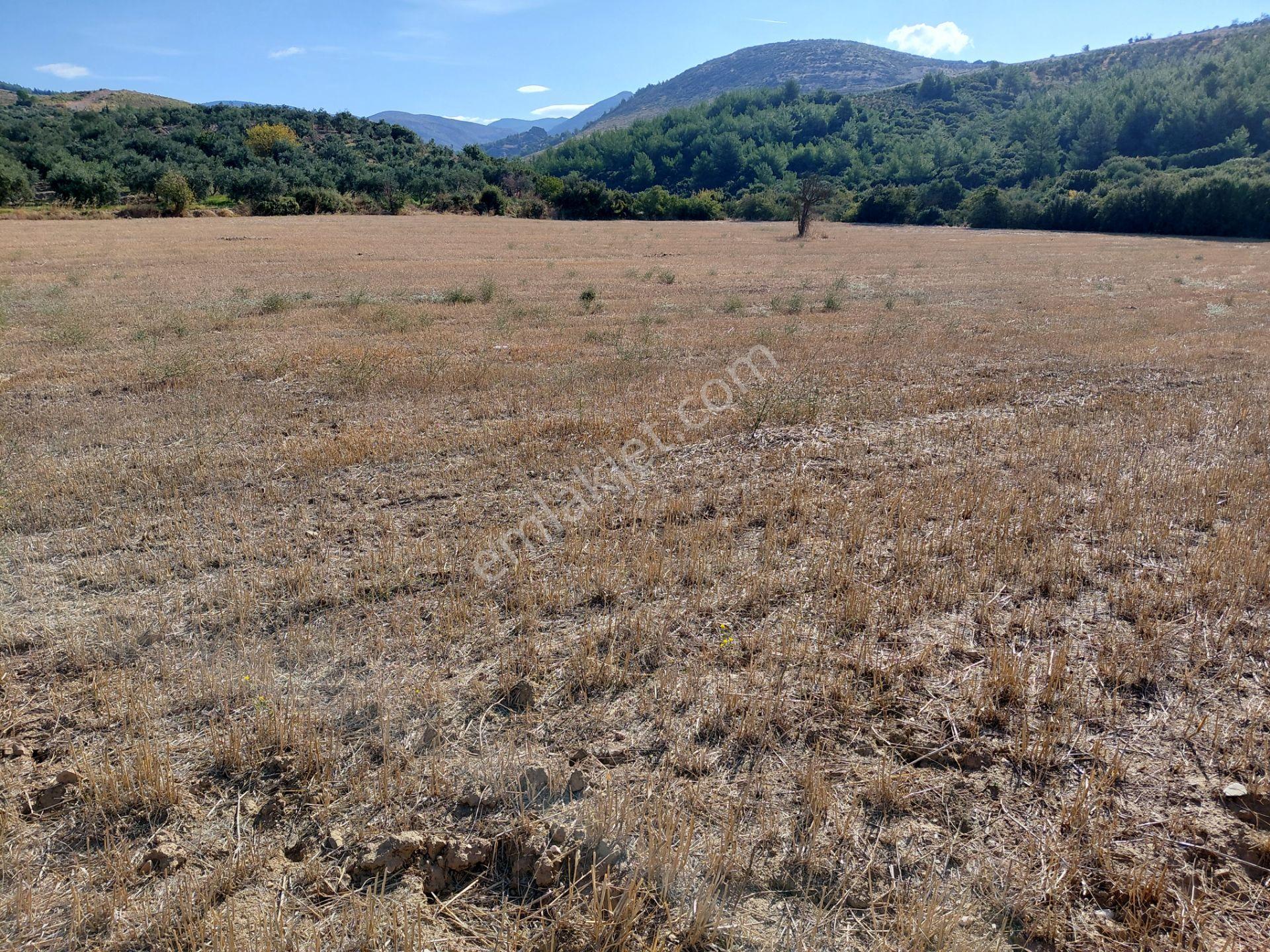 Akisar 5.km Mesafede Tarım Ve Hayvancılığa Uygun 27.500 M2 Boş Tarla 8.500.000 Tl — fotoğraf 7