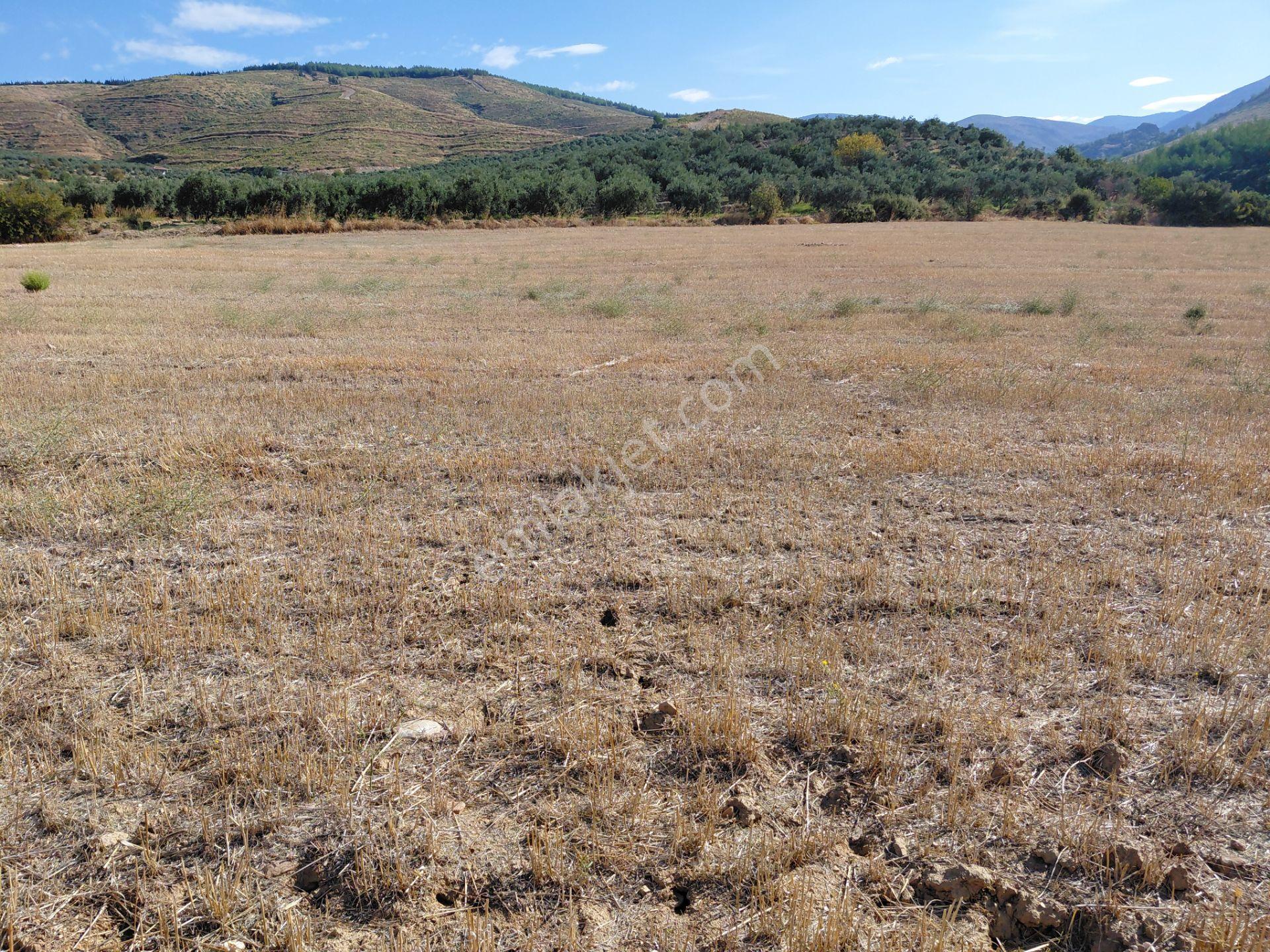 Akisar 5.km Mesafede Tarım Ve Hayvancılığa Uygun 27.500 M2 Boş Tarla 8.500.000 Tl — fotoğraf 8