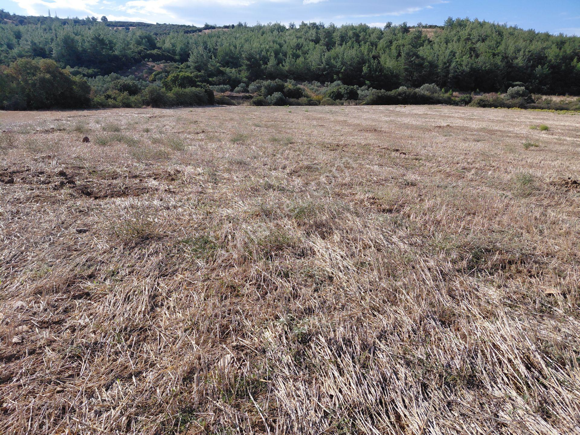 Akisar 5.km Mesafede Tarım Ve Hayvancılığa Uygun 27.500 M2 Boş Tarla 8.500.000 Tl — fotoğraf 11