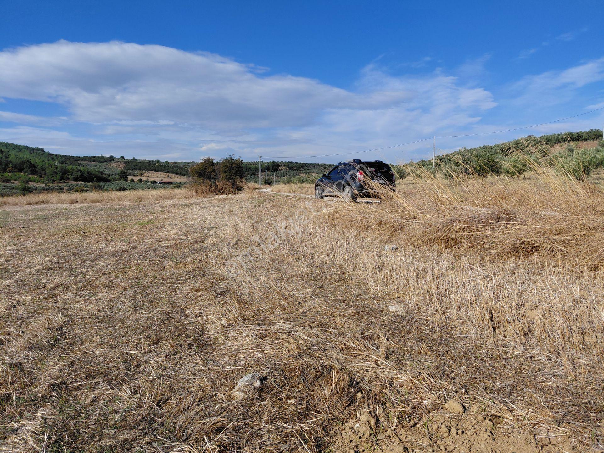 Akisar 5.km Mesafede Tarım Ve Hayvancılığa Uygun 27.500 M2 Boş Tarla 8.500.000 Tl — fotoğraf 12