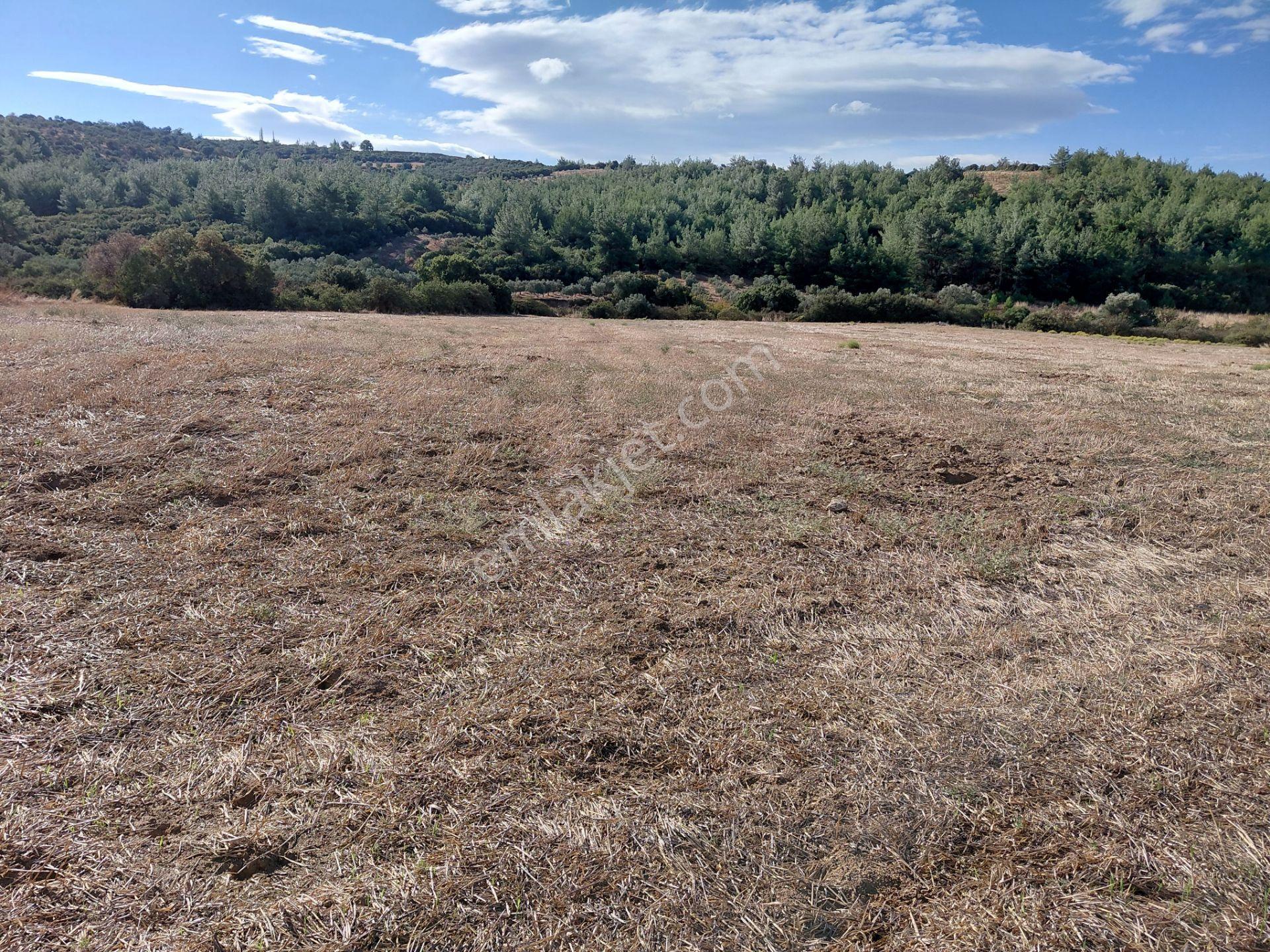 Akisar 5.km Mesafede Tarım Ve Hayvancılığa Uygun 27.500 M2 Boş Tarla 8.500.000 Tl — fotoğraf 13